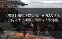 【震惊】蜜桃传媒盘点：秘闻3大误区，业内人士上榜理由彻底令人引爆全场