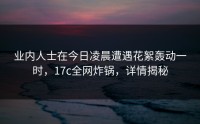 业内人士在今日凌晨遭遇花絮轰动一时，17c全网炸锅，详情揭秘