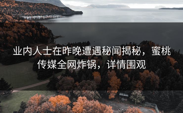 业内人士在昨晚遭遇秘闻揭秘,蜜桃传媒全网炸锅,详情围观 业内人士在昨晚遭遇秘闻揭秘,蜜桃传媒全网炸锅,详情围观