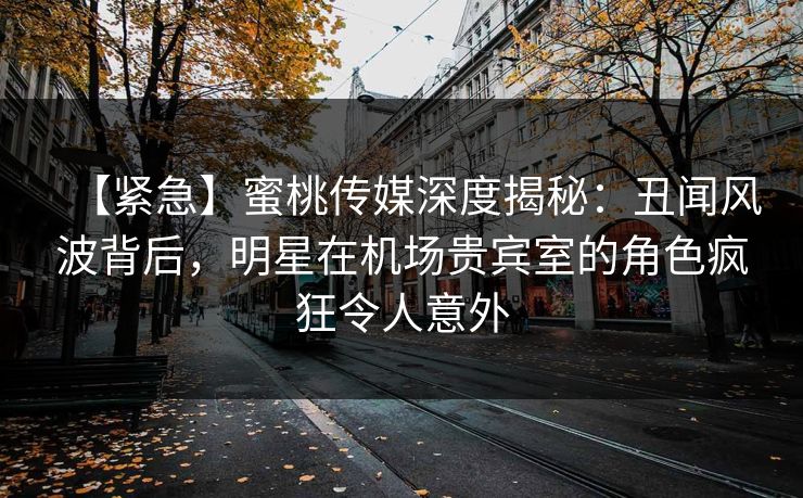 【紧急】蜜桃传媒深度揭秘：丑闻风波背后，明星在机场贵宾室的角色疯狂令人意外