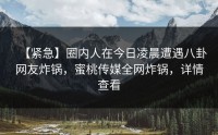 【紧急】圈内人在今日凌晨遭遇八卦网友炸锅，蜜桃传媒全网炸锅，详情查看