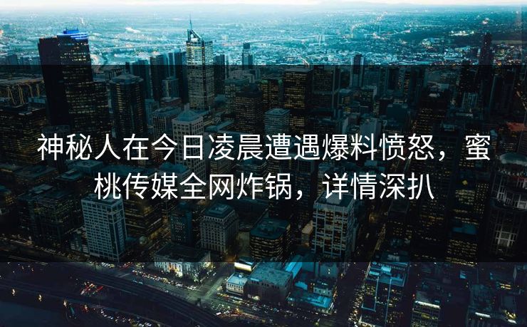 神秘人在今日凌晨遭遇爆料愤怒，蜜桃传媒全网炸锅，详情深扒